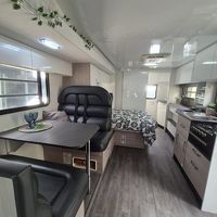 Thumbnail of Avida Birdsville