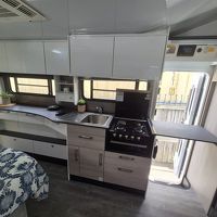 Thumbnail of Avida Birdsville