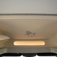 Thumbnail of Kea Breeze Elite M660 Raglan Edition